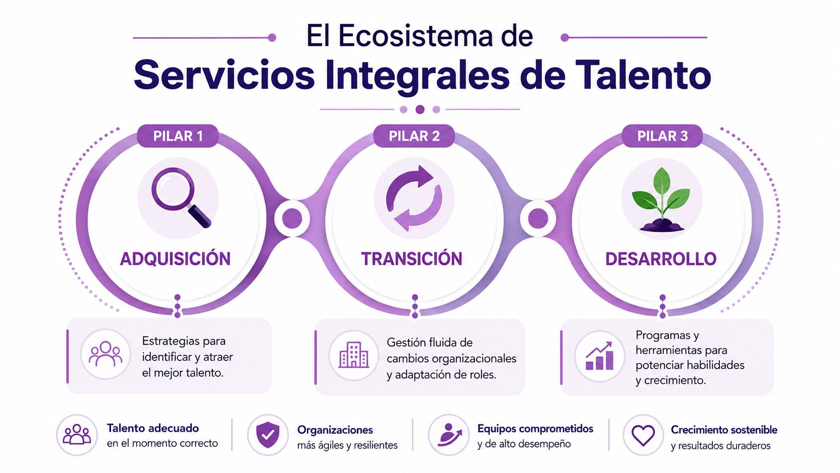Infografía del ecosistema de servicios integrales de talento, destacando las etapas de adquisición, transición y desarrollo profesional.