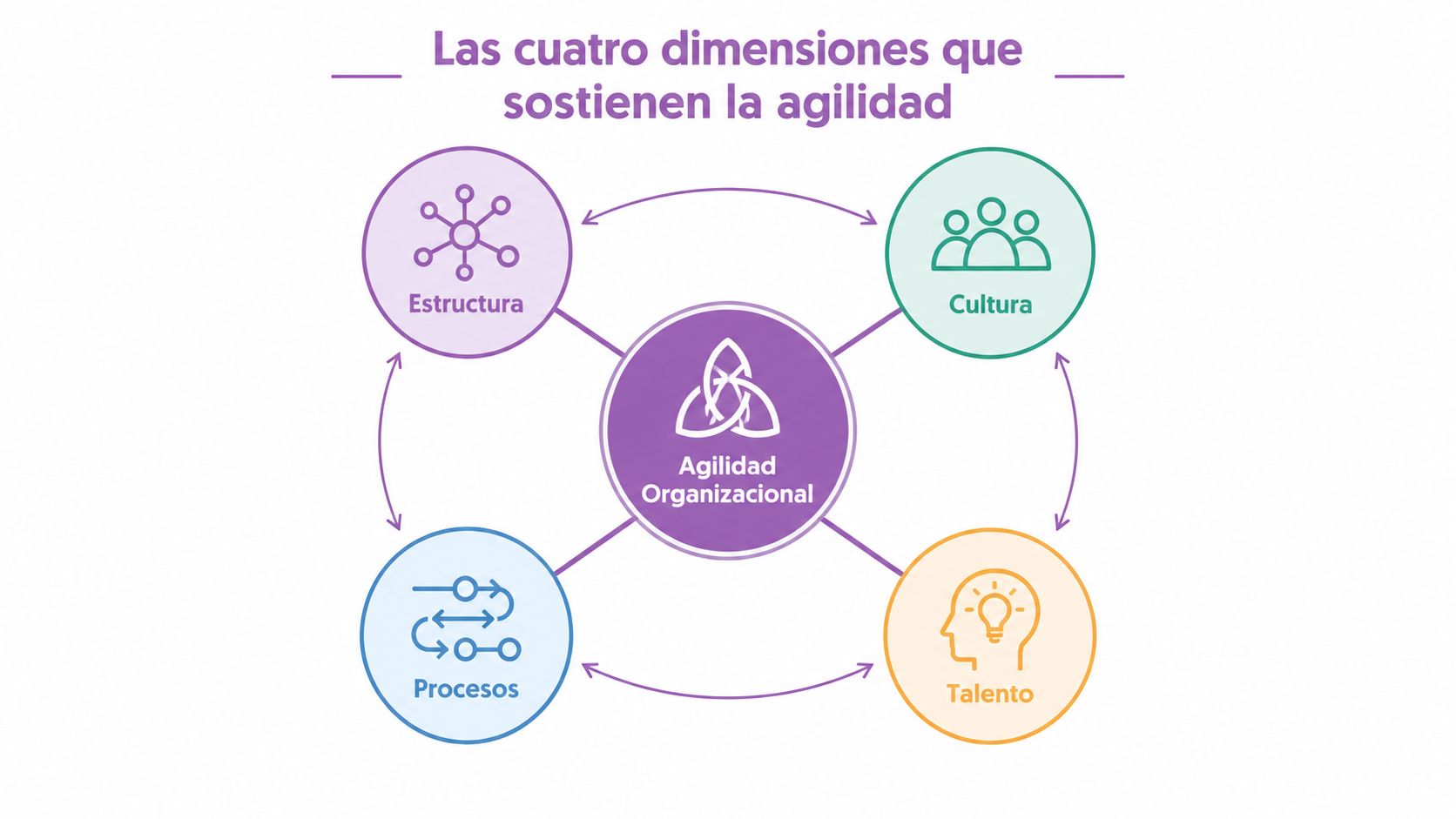 Diagrama de cuatro dimensiones que sostienen la agilidad organizacional: estructura, cultura, procesos y talento empresarial.